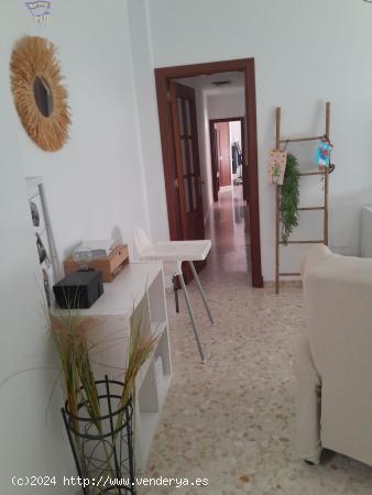 VENTA DE PISO ZONA LAS PALOMAS - CADIZ