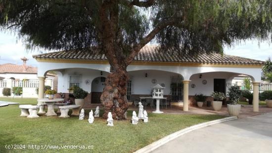 VENTA DE DOS CHALET EN UNA MISMA PARCELA EN EL SANTISCAL - CADIZ