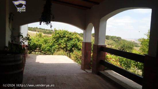 VENTA FINCA EN CARRETERA ALGAR - CADIZ