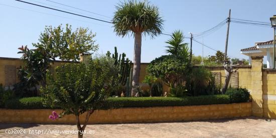 VENTA DE CHALET ZONA EL SANTISCAL - CADIZ