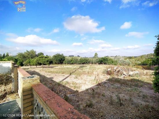 SE VENDE ESTUPENDA FINCA CON TERRENO VEGA LOS MOLINOS - CADIZ