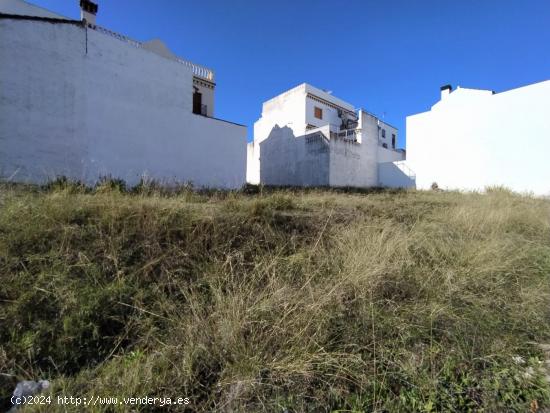  VENTA DE PARCELA ZONA PORTICHUELO - CADIZ 