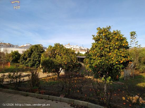  VENTA DE FINCA RUSTICA ZONA BARRIO BAJO - CADIZ 