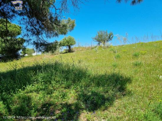 VENTA DE PARCELA ZONA EL ROMERAL - CADIZ