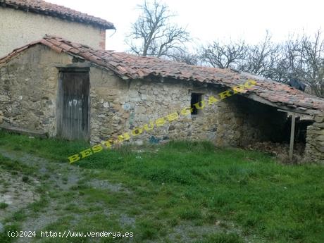 Se Vende en Santibañez de la Peña - PALENCIA