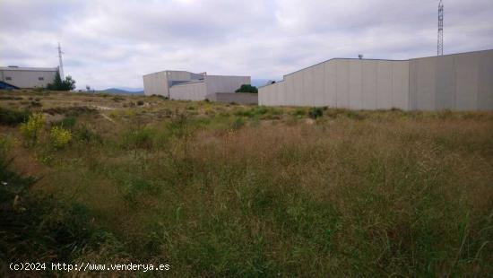 Se vende solar en Cehegin - MURCIA