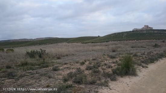  SE VENDE FINCA DE SECANO EN EL BOQUERON (ABARAN) - MURCIA 