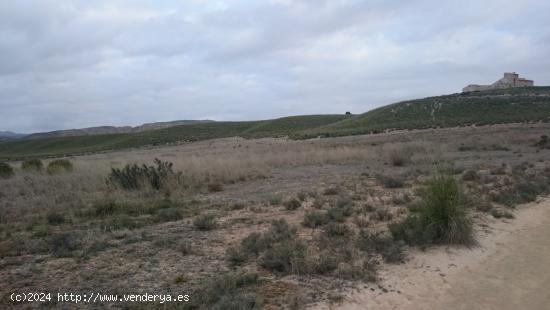 SE VENDE FINCA DE SECANO EN EL BOQUERON (ABARAN) - MURCIA