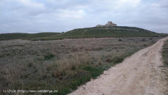 SE VENDE FINCA DE SECANO EN EL BOQUERON (ABARAN) - MURCIA