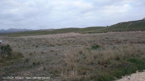 SE VENDE FINCA DE SECANO EN EL BOQUERON (ABARAN) - MURCIA