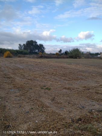 Terreno rústico en venta en Lorqui - MURCIA