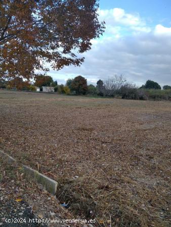 Terreno rústico en venta en Lorqui - MURCIA