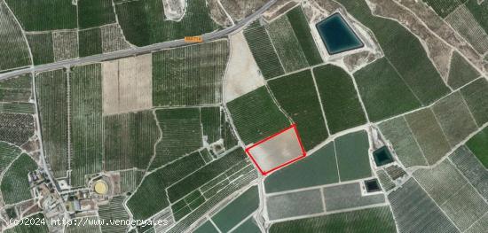 SE VENDE FINCA RUSTICA EN EL  TERMINO DE CIEZA - MURCIA