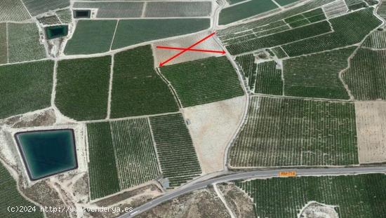 SE VENDE FINCA RUSTICA EN EL  TERMINO DE CIEZA - MURCIA