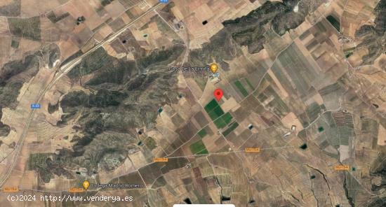  Se vende finca rustica en Jumilla (hoyas del carche) - MURCIA 