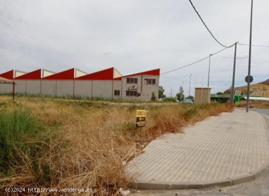 SE VENDE SOLAR INDUSTRIAL EN LOS RAMOS - MURCIA