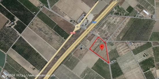 se vende finca rustica en Jumilla - MURCIA