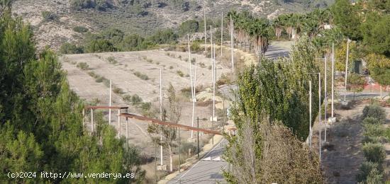 SE VENDE FINCA RUSTICA EN EL NIÑO DE MULA - MURCIA