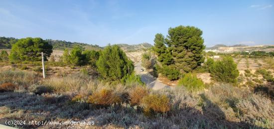 SE VENDE FINCA RUSTICA EN EL NIÑO DE MULA - MURCIA