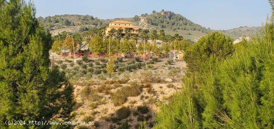 SE VENDE FINCA RUSTICA EN EL NIÑO DE MULA - MURCIA