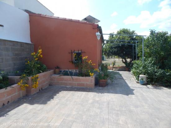 Oportunidad Caseta con Terreno en Bocairent - VALENCIA