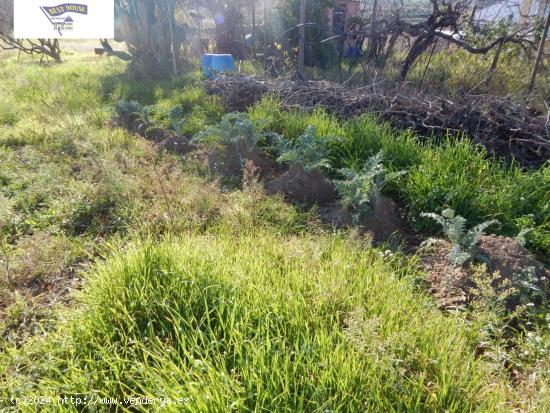 VENTA DE TERRENO DE HUERTA EN ONTINYENT!!! - VALENCIA