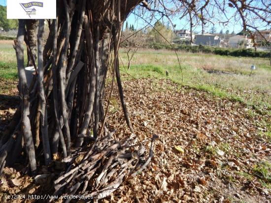 VENTA DE TERRENO DE HUERTA EN ONTINYENT!!! - VALENCIA