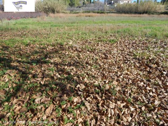 VENTA DE TERRENO DE HUERTA EN ONTINYENT!!! - VALENCIA