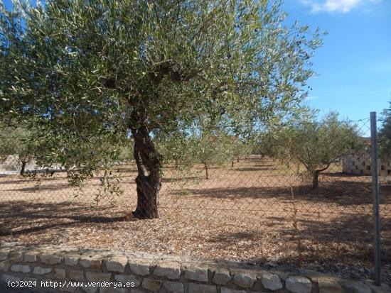 Terreno urbanizable en Ontinyent - VALENCIA