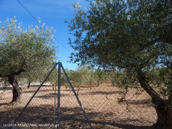 Terreno urbanizable en Ontinyent - VALENCIA