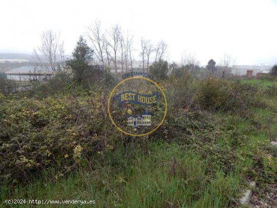  PARCELA INDUSTRIAL EN BOCAIRENT - VALENCIA 