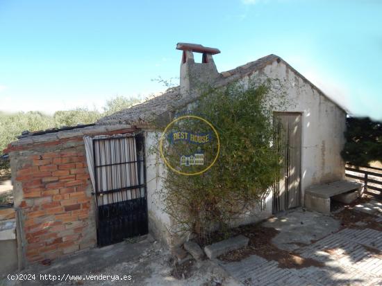  TERRENO CON REFUGIO EN AGULLENT - VALENCIA 