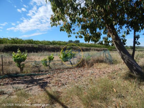 TERRENO CON REFUGIO EN AGULLENT - VALENCIA