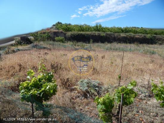 TERRENO CON REFUGIO EN AGULLENT - VALENCIA