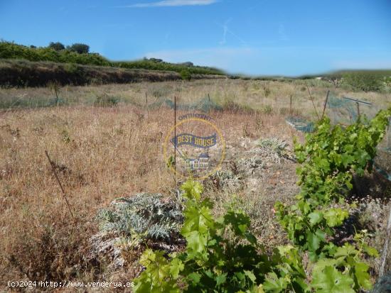 TERRENO CON REFUGIO EN AGULLENT - VALENCIA