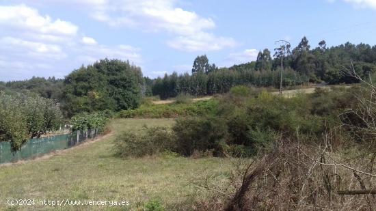 FINCA DE 3.320 M2 EDIFICABLE EN LA CARRETERA DEL AEROPUERTO - A CORUÑA