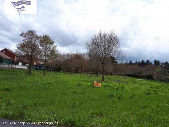  FINCA EDIFICABLE EN ZONA DE RAICES - A CORUÑA 