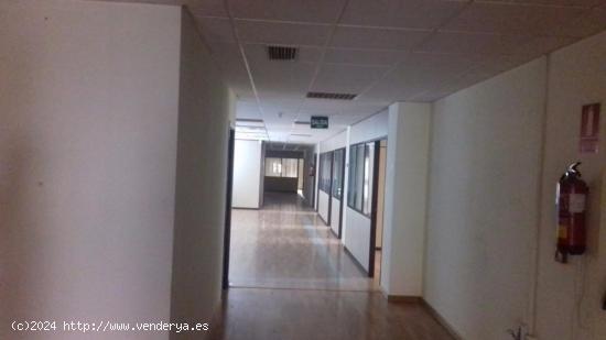  LOCAL DE OFICINAS EN AREA CENTRAL DE 874 M2 - A CORUÑA 