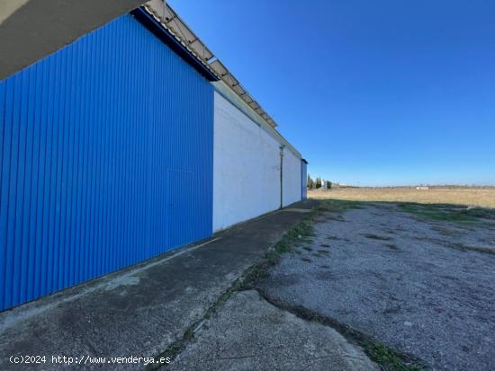 GRAN PARCELA CON NAVE DE 500 M2 Y CASA - ALBACETE