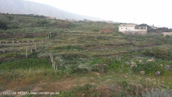 Tinercasa vende Terreno Rústico en Güimar - SANTA CRUZ DE TENERIFE