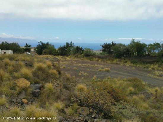  TINERCASA VENDE FINCA EL BADEM, GÜIMAR - SANTA CRUZ DE TENERIFE 