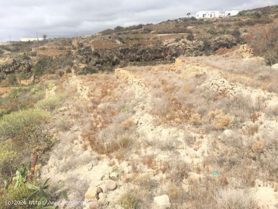  Se vende finca rústica en Güimar - SANTA CRUZ DE TENERIFE 