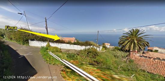 Tinercasa vende Finca rústica en el Sauzal - SANTA CRUZ DE TENERIFE