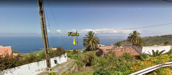 Tinercasa vende Finca rústica en el Sauzal - SANTA CRUZ DE TENERIFE