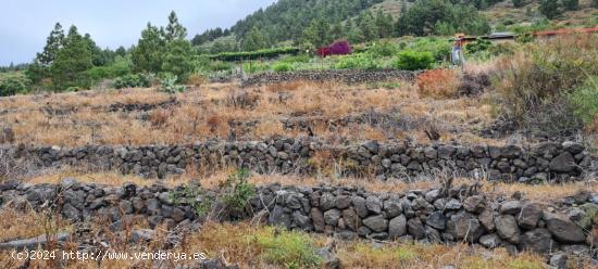  TINERCASA VENDE FINCA RÚSTICA CON LAS MEJORES VISTAS DEL VALLE DE CANDELARIA - SANTA CRUZ DE TENERI 