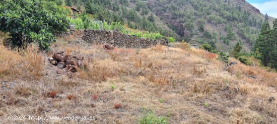 TINERCASA VENDE FINCA RÚSTICA CON LAS MEJORES VISTAS DEL VALLE DE CANDELARIA - SANTA CRUZ DE TENERI