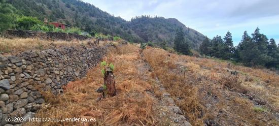 TINERCASA VENDE FINCA RÚSTICA CON LAS MEJORES VISTAS DEL VALLE DE CANDELARIA - SANTA CRUZ DE TENERI