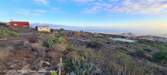  Se vende estupenda finca rústica en San Miguel de bona - SANTA CRUZ DE TENERIFE 