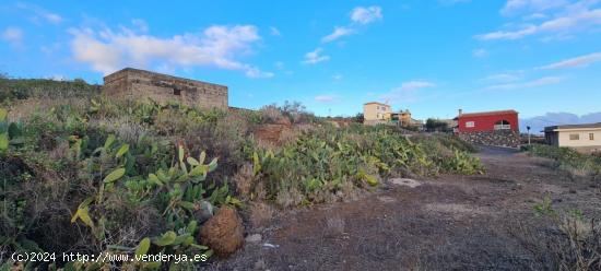 Se vende estupenda finca rústica en San Miguel de bona - SANTA CRUZ DE TENERIFE