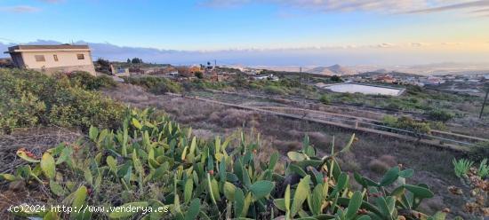 Se vende estupenda finca rústica en San Miguel de bona - SANTA CRUZ DE TENERIFE